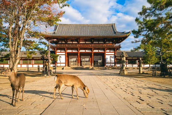Japonya'da Sonbaharın En Güzel Hali resmi