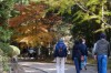 Japonya'da Sonbaharın En Güzel Hali resmi