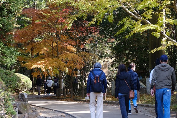 Japonya'da Sonbaharın En Güzel Hali resmi