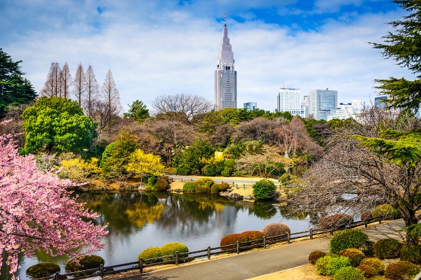 Japonya'da Sonbaharın En Güzel Hali resmi